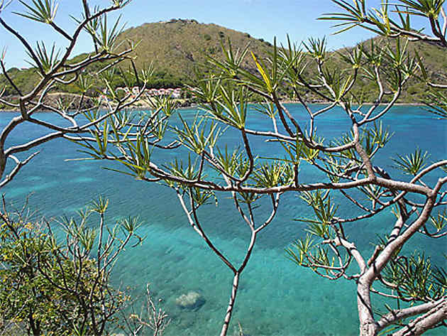marigot-baie-de-marigot-terre-de-haut-les-saintes-guadeloupe