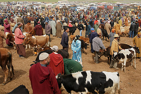 Le souk berbère d'Azrou Le souk berbère d'Azrou