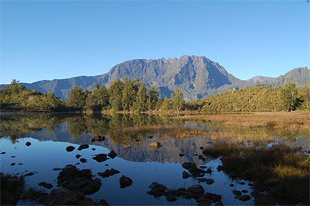 Piton des neiges depuis la Mare à Martin Piton des neiges depuis la Mare à Martin