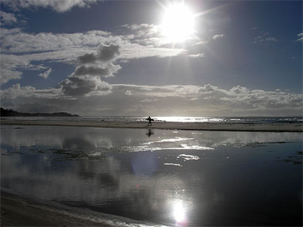 Surf en plein hiver!