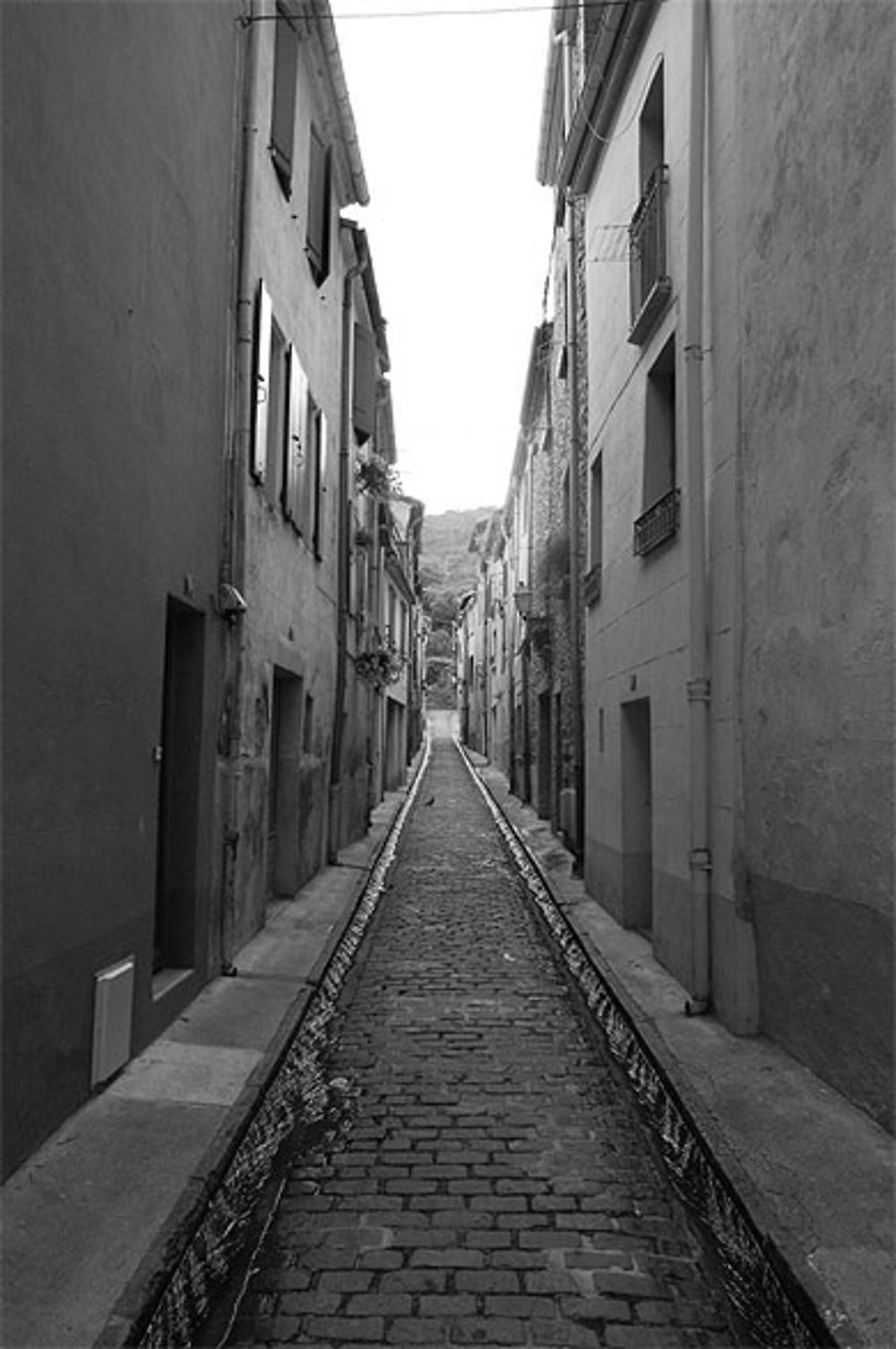 Ruelle