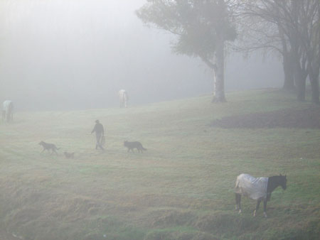 C'est l' hiver dans la Pampa C'est l' hiver dans la Pampa