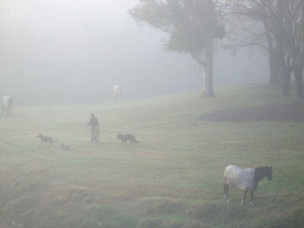 C'est l' hiver dans la Pampa