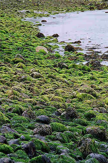 île d'Inishbofin