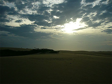 Fin d'apres midi sur les dunes de sables : Los Medanos