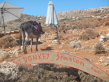 Donkey Station Taxi !!