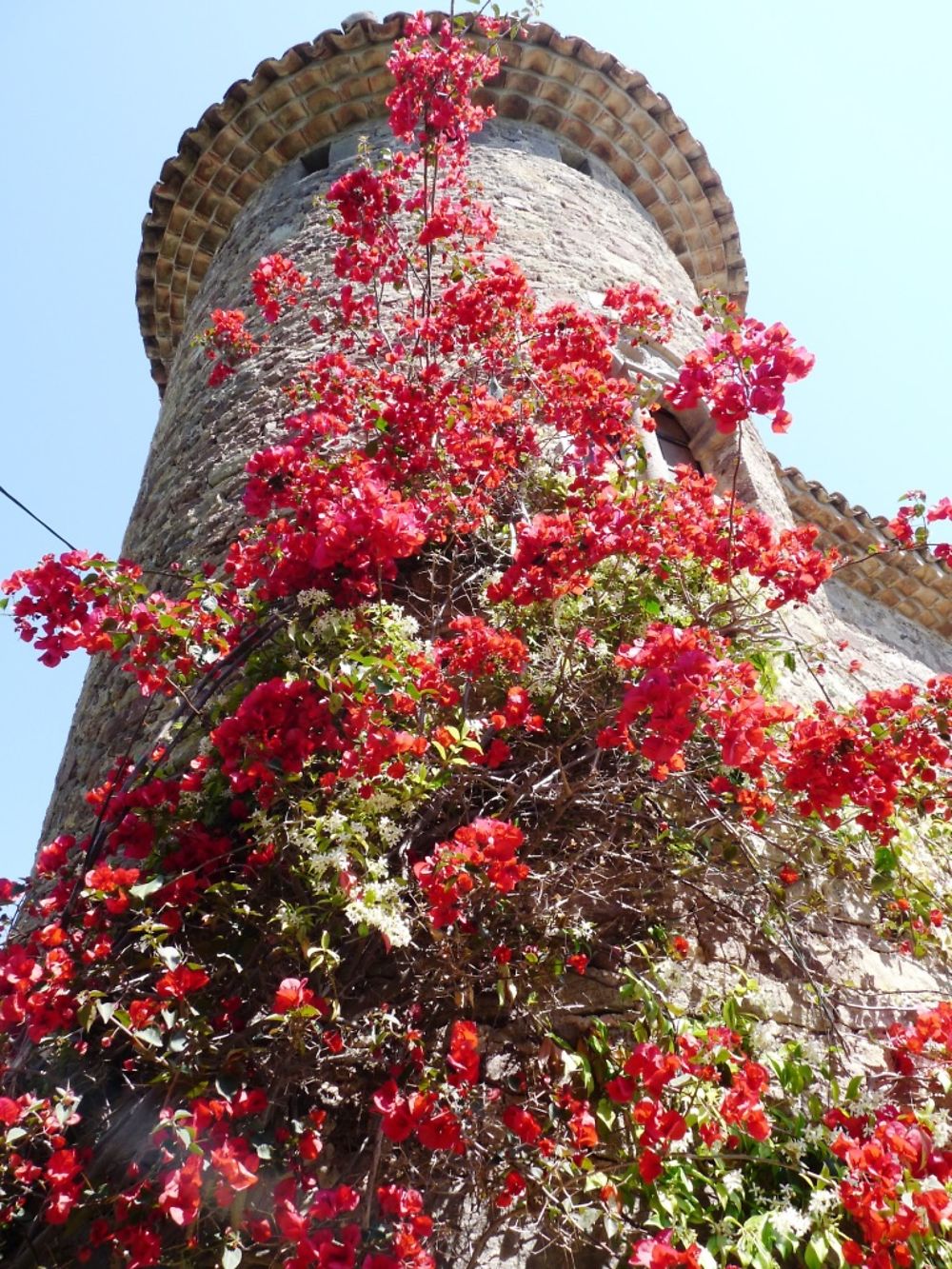 Le Château de La Napoule