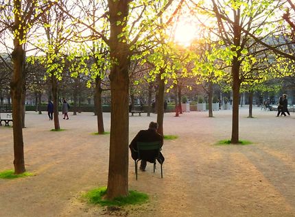 Zen au jardin du Palais-Royal