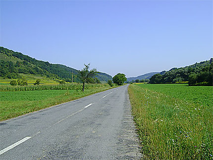 Paysage vert aux environs de Biertan
