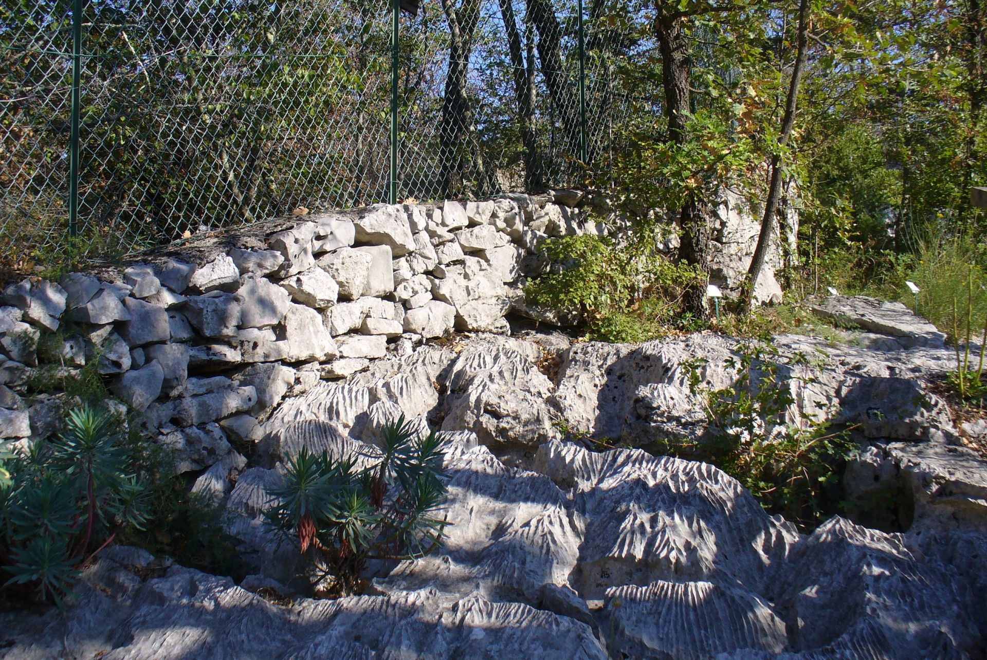 Paysage du cras Paysage du cras