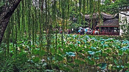 Jardin Wangshiyuan, Suzhou