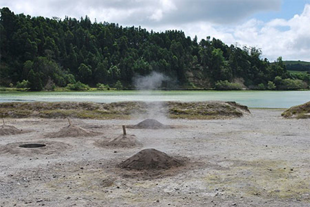 Furnas, cuisson du cozio (plat typique)