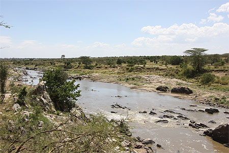 la-rivi-re-mara-r-serve-nationale-de-massa-mara-vall-e-du-rift