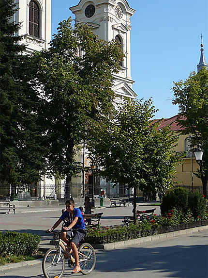 Place principale, Sremski Karlovci, Voïvodine