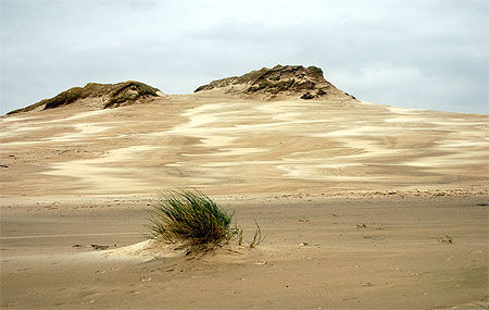 Dunes au bord de la Baltique