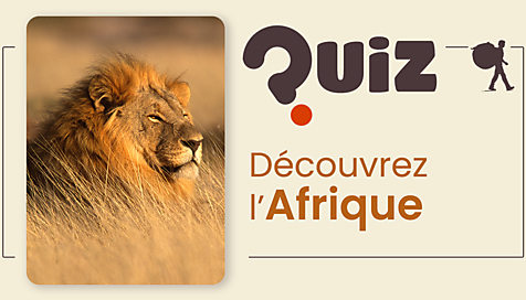 Quiz voyage : Afrique