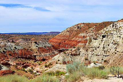 Les couleurs du désert