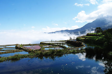 Les rizières en terrasse de Yuanyang, Chine