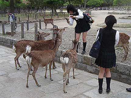 Parc Nara