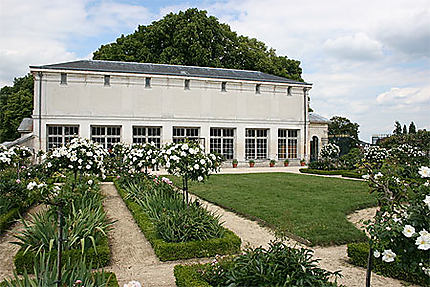 La roseraie du parc du château de Compiègne