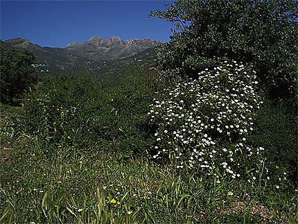 Montagne de Kabylie au dessus de la vallée du Soummam