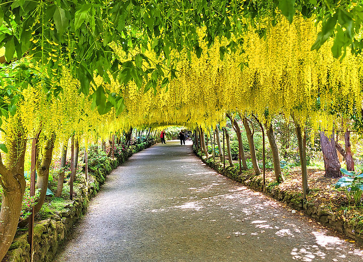 Bodnant Garden : l’un des plus beaux parcs-jardins du Royaume-Uni