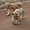 Lionceaux, parc national du Serengeti