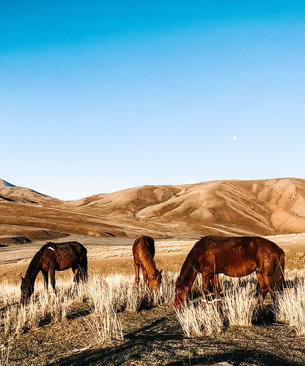 Premier rayons de soleil en pleine nature kirghize