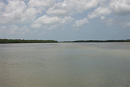 La lagune de Celestun
