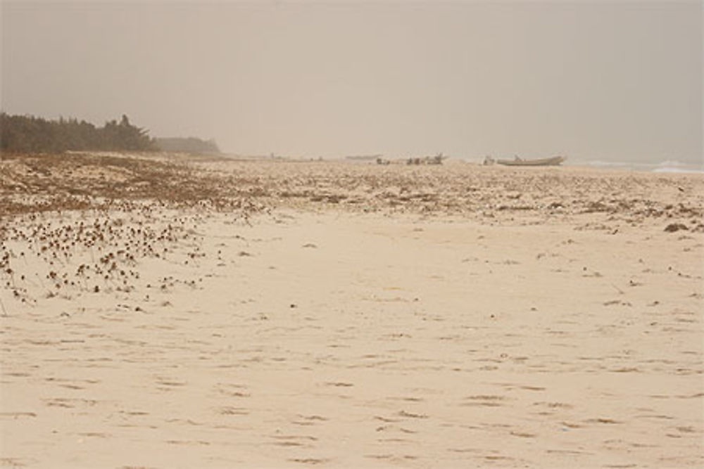 Plage du parc national de la langue de Barbarie