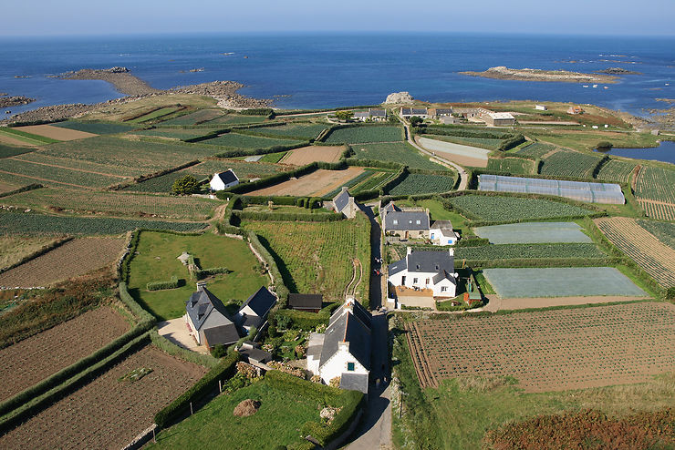 Île de Batz (Finistère) 