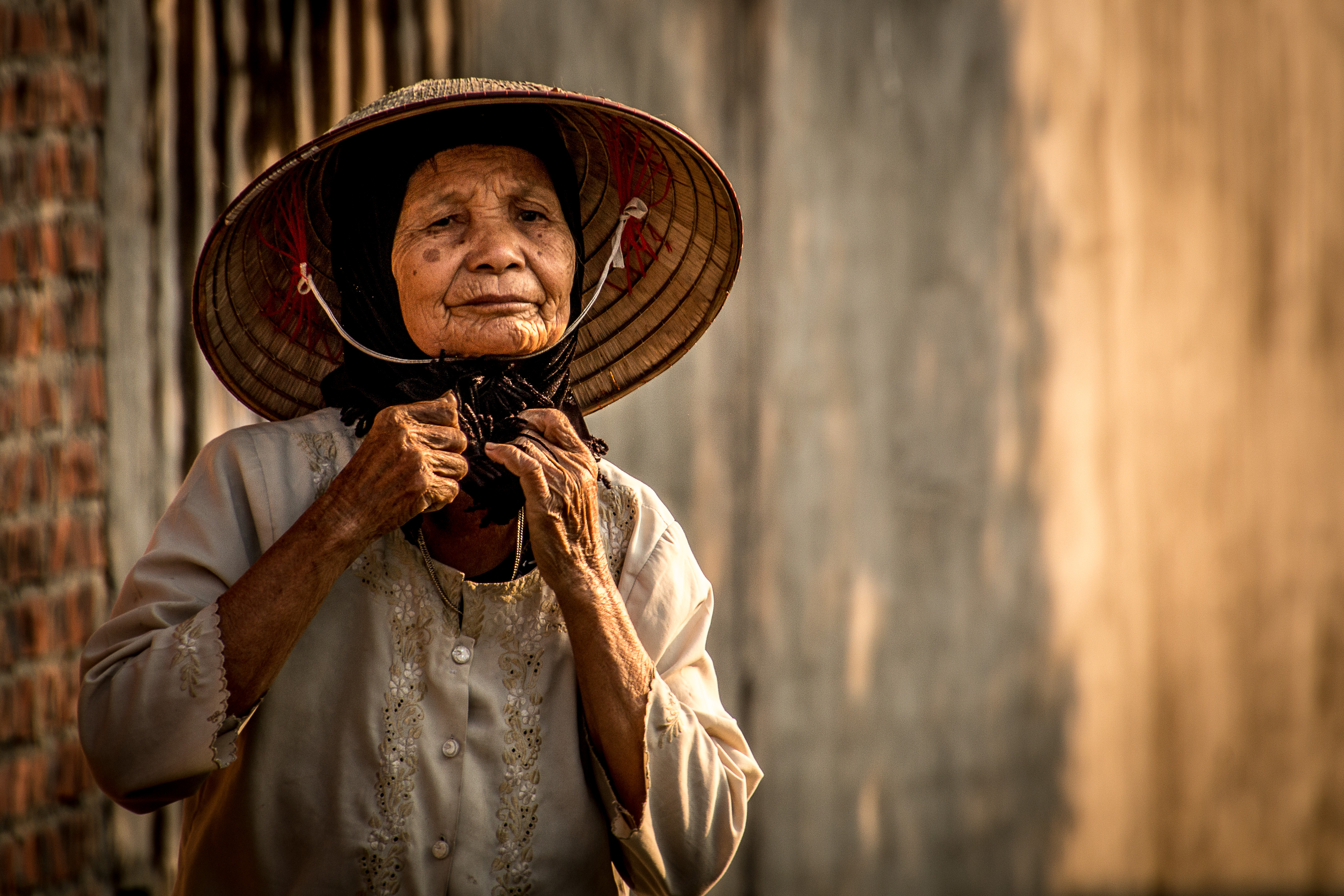 La vietnamienne du village La vietnamienne du village