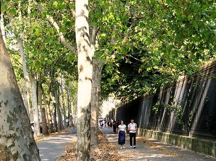 Promenade, grilles du parc Monceau