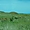 Plateau verdoyant sur les sommets de El Hierro