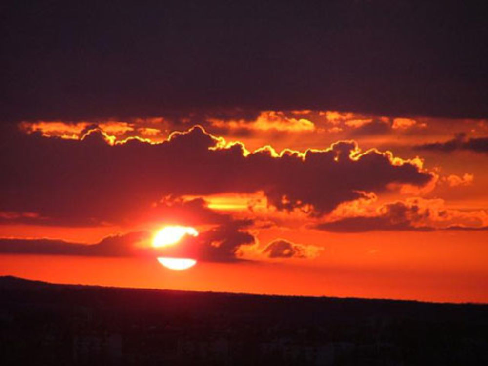 Magnifique soleil d'été