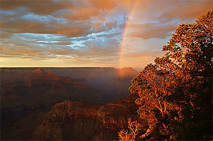 Arc-en-ciel au Grand Canyon