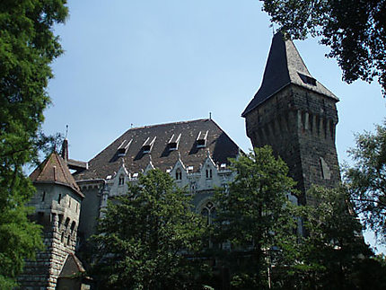 Château Vajdahuynad