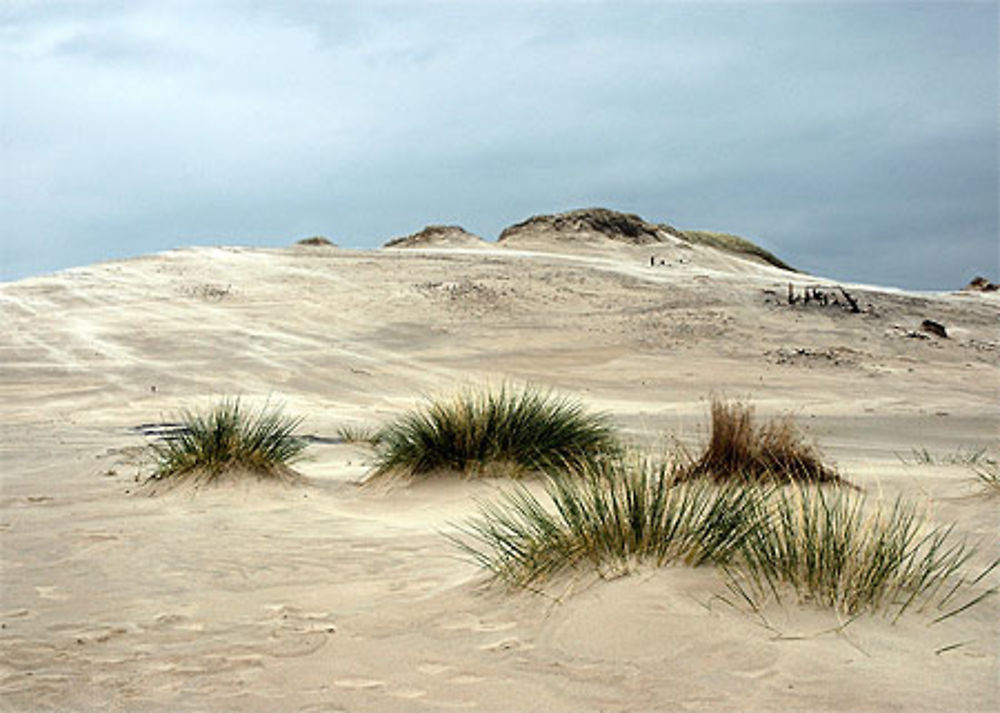 Dunes