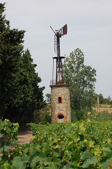 Puits de vignes Puits de vignes