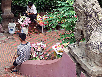 Marchands de fleurs à Phnom Penh.