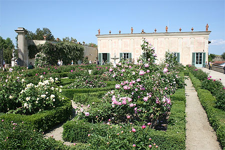 La roseraie des jardins Boboli La roseraie des jardins Boboli