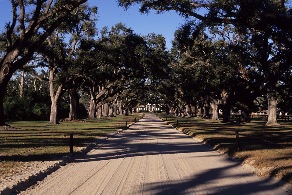 Boone Hall plantation près de Charleston