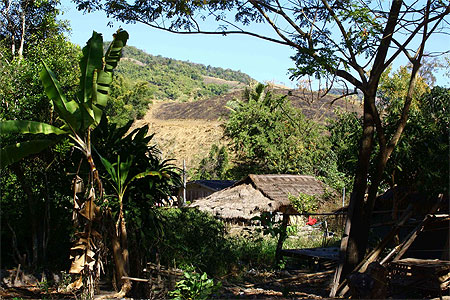 Le Triangle d'Or : un village yao Le Triangle d'Or : un village yao