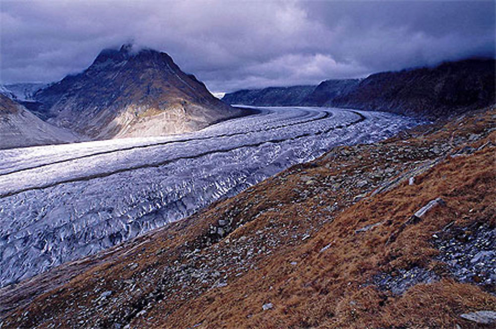 Aletsch