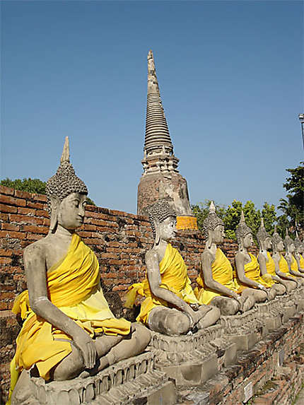 Bouddhas en jaune