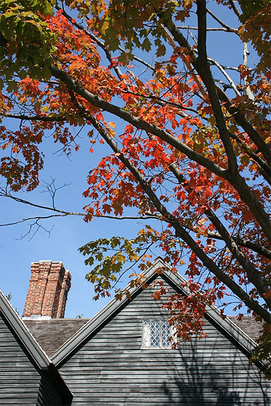 Couleurs d'automne Couleurs d'automne
