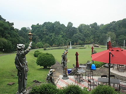 Jardin floral de Bogor