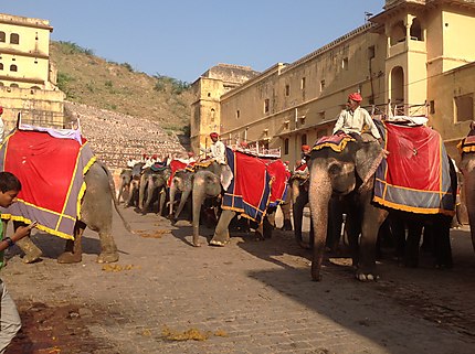 Voyage au Rajasthan 