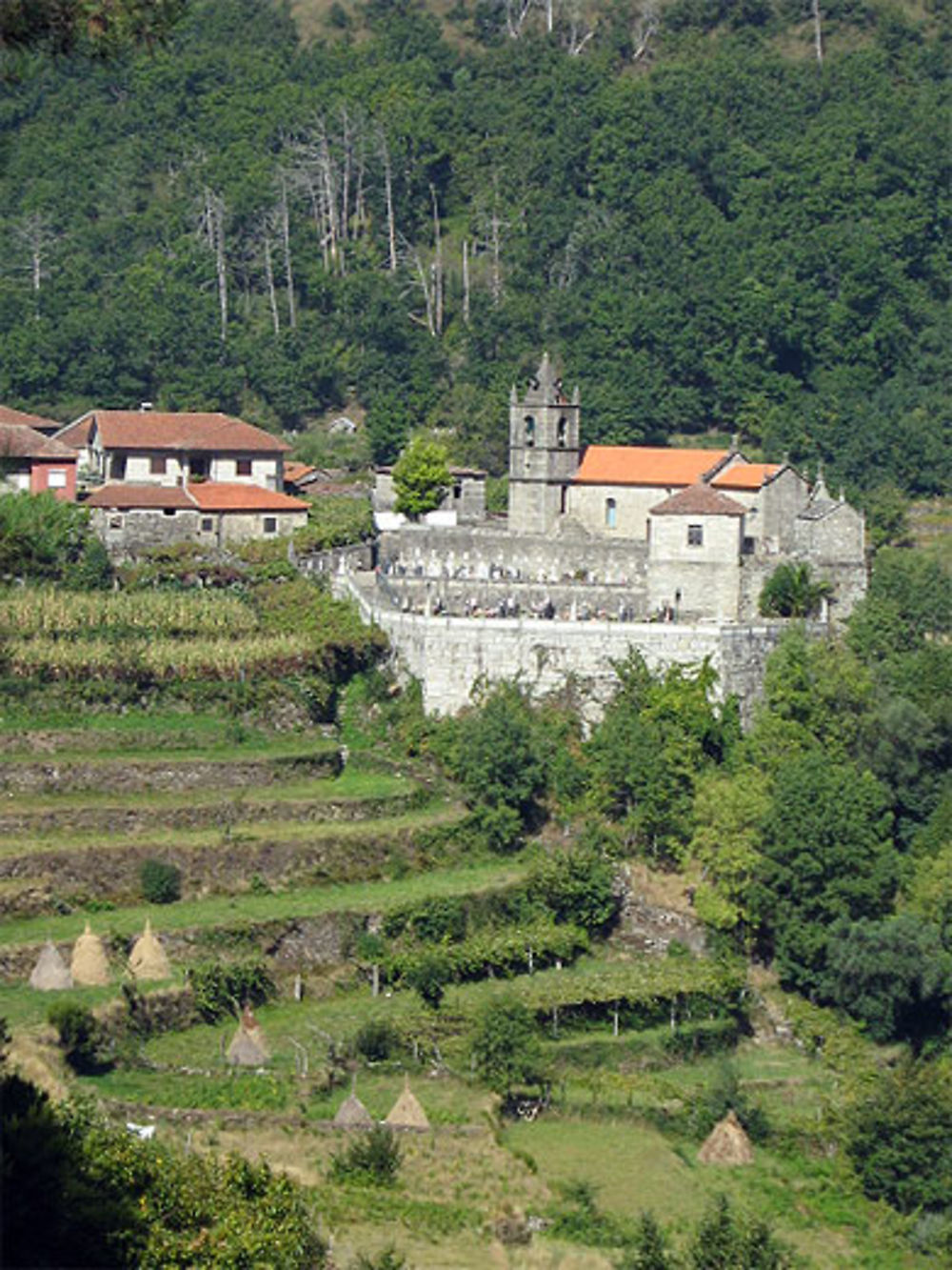 Village dans les vignes