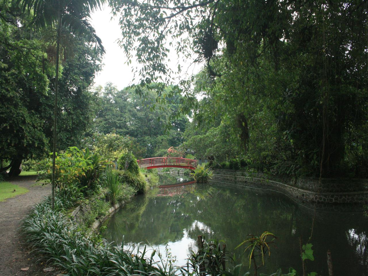 Jardin botanique de Bogor Jardin botanique de Bogor